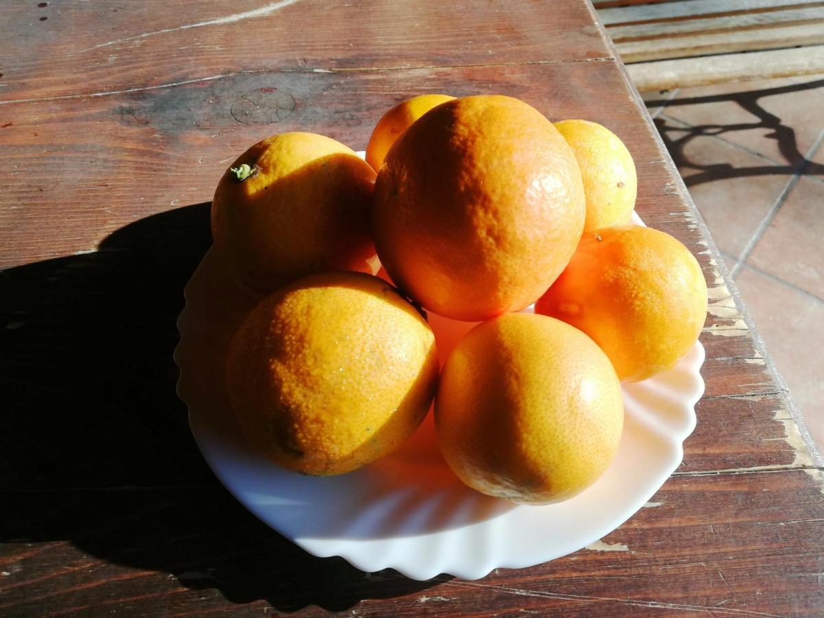La Casetta B&B Milazzo Ngoại thất bức ảnh